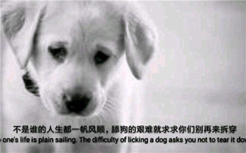 为什么那么多舔狗?怎么追女生才不会沦为舔狗? 为什么那么多舔狗?怎么追女生才不会沦为舔狗?第4张